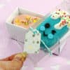 paleta individual